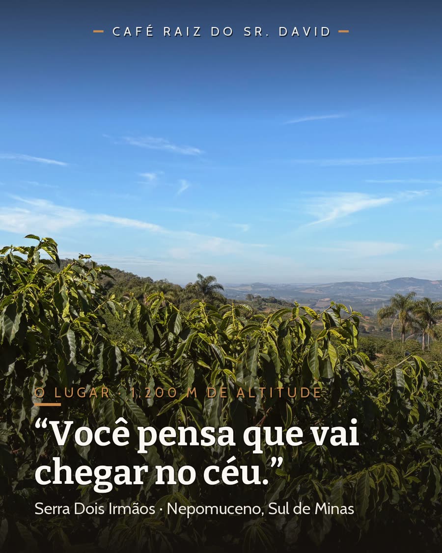 Vista da serra com lavouras de café